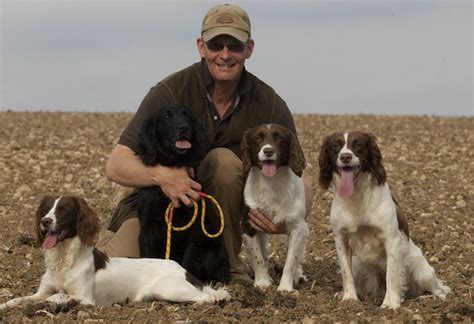 I think a lot of top trainers think, with bitches, that 1 good litter of pups out off it and you have your money back. . Uk gundog forum